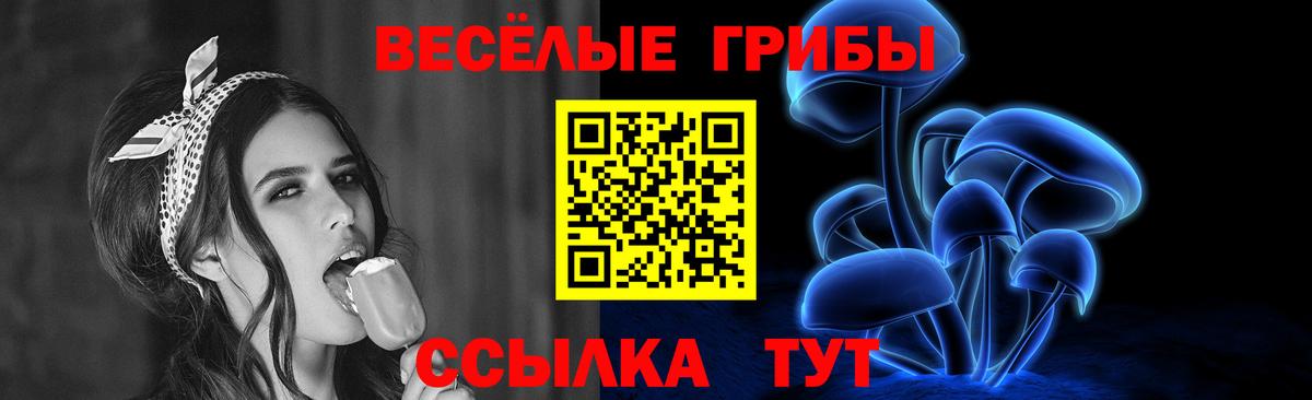 купить закладку  Псилоцибиновые грибы Psilocybe  Вход с VPN  Шахты 